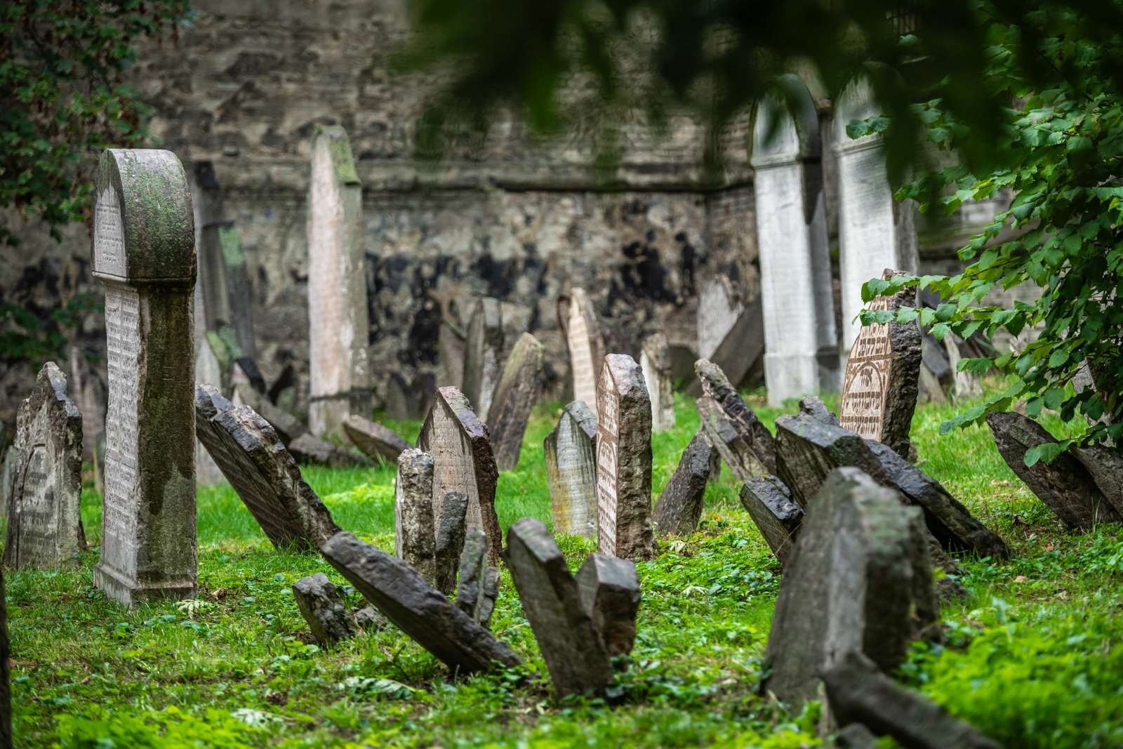 Ztracený židovský hřbitov: Zapomenutá kapitola Rohanského nábřeží