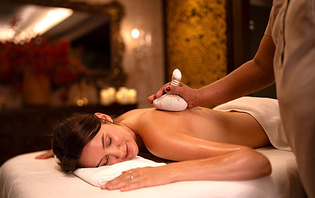 Věda o životě. Využijte ájurvédu pro sebe a své zdraví