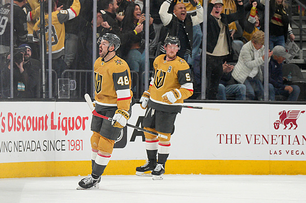 Hertl zařídil vyrovnání v 60. minutě, Pastrňák jistil výhru Bostonu