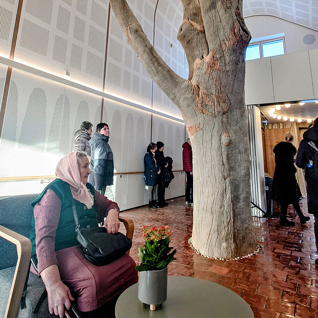 Domov seniorů ukazuje budoucnost s důrazem na soukromí. Stavbu podpírá strom